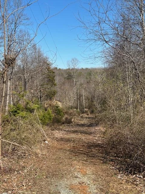 0 Hollyfield RD - Photo 4