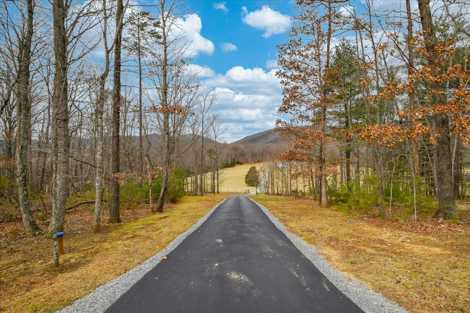 5515 Breckinridge Mill RD - Photo 31
