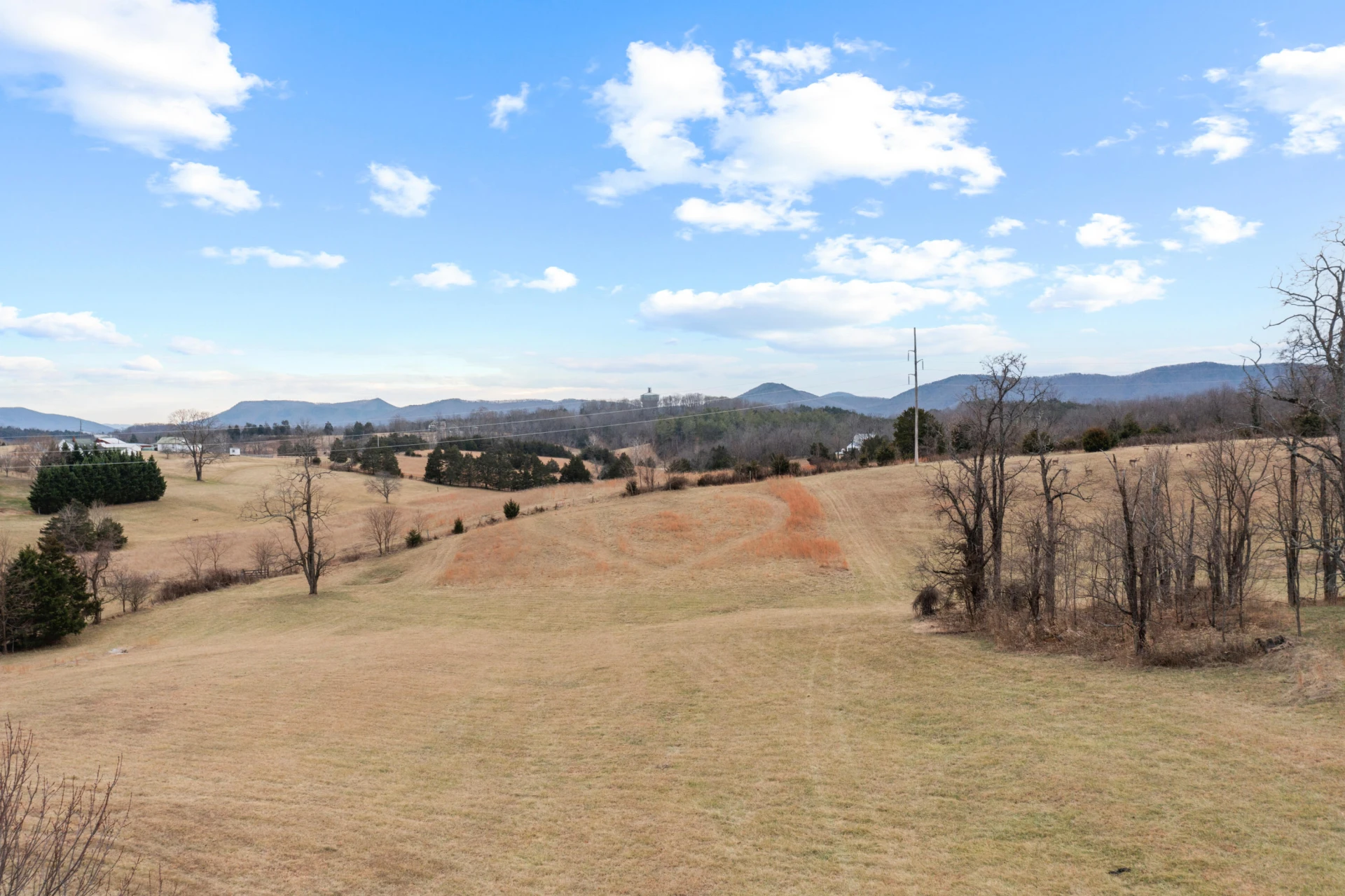 765 Country Club RD - Photo 7
