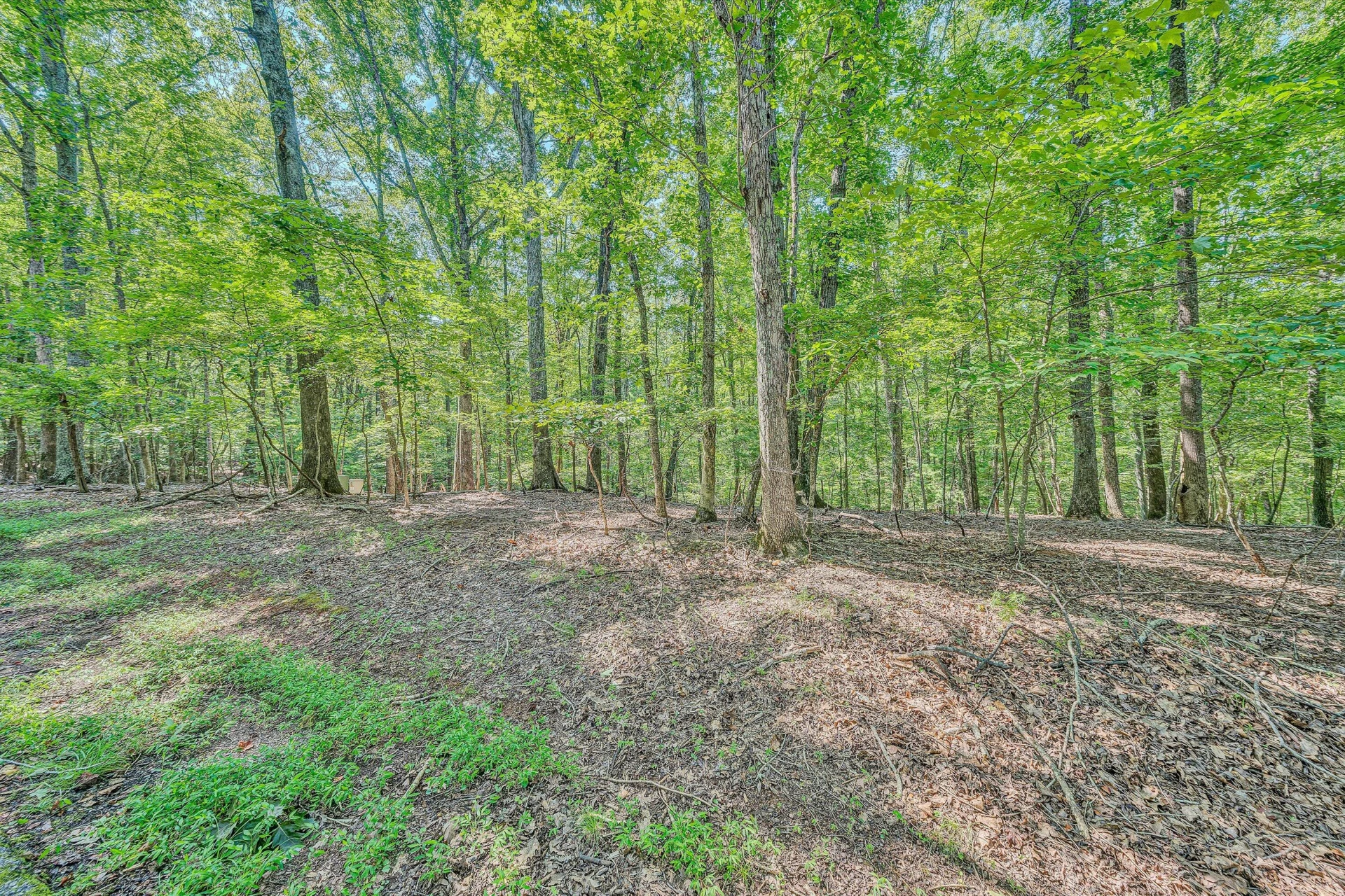 Lot 24 Woodridge TRL - Photo 2