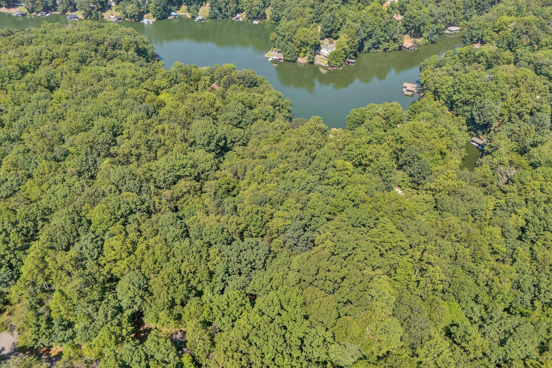 Lot 24 Woodridge TRL - Photo 4