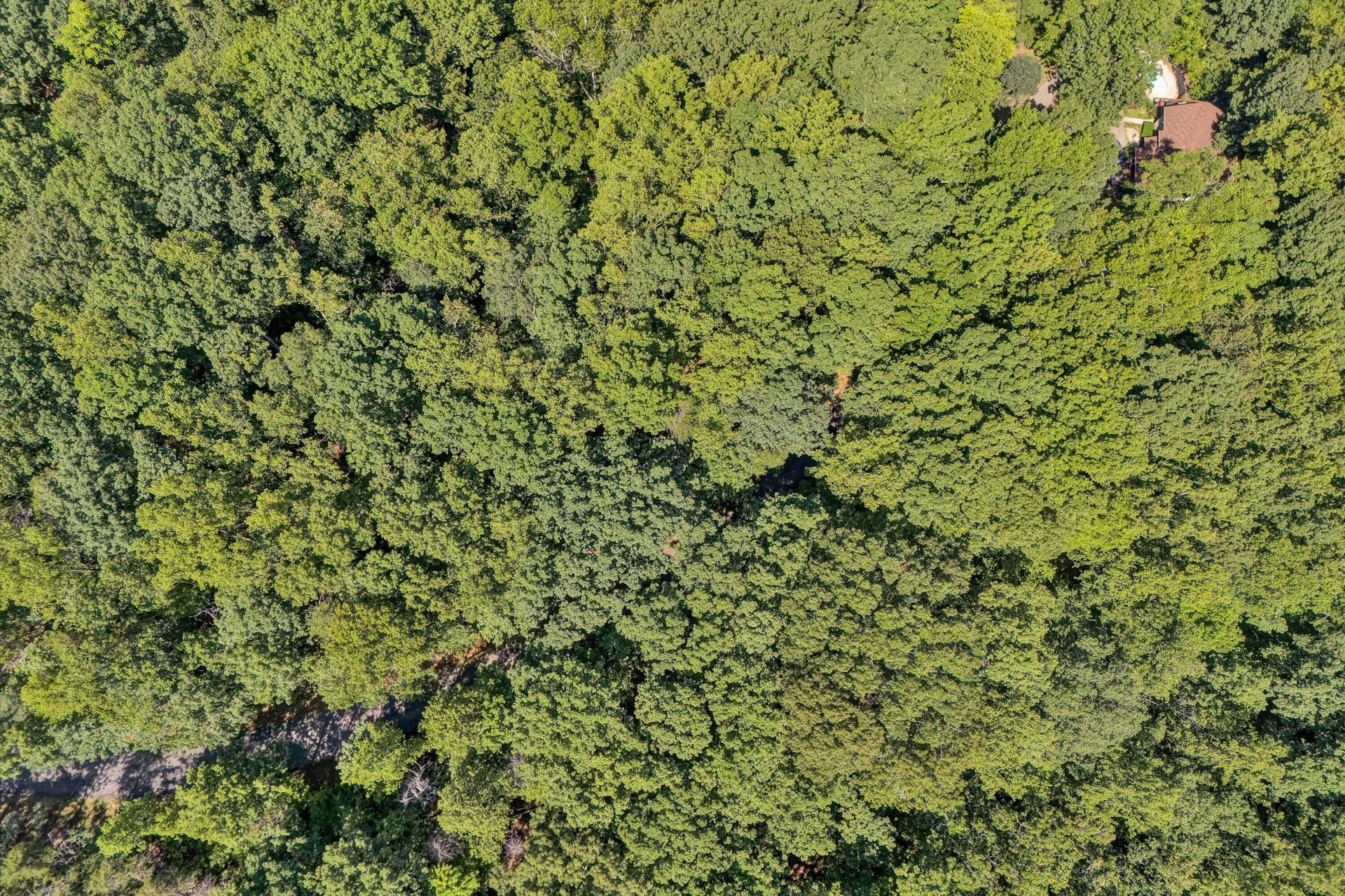 Lot 24 Woodridge TRL - Photo 5