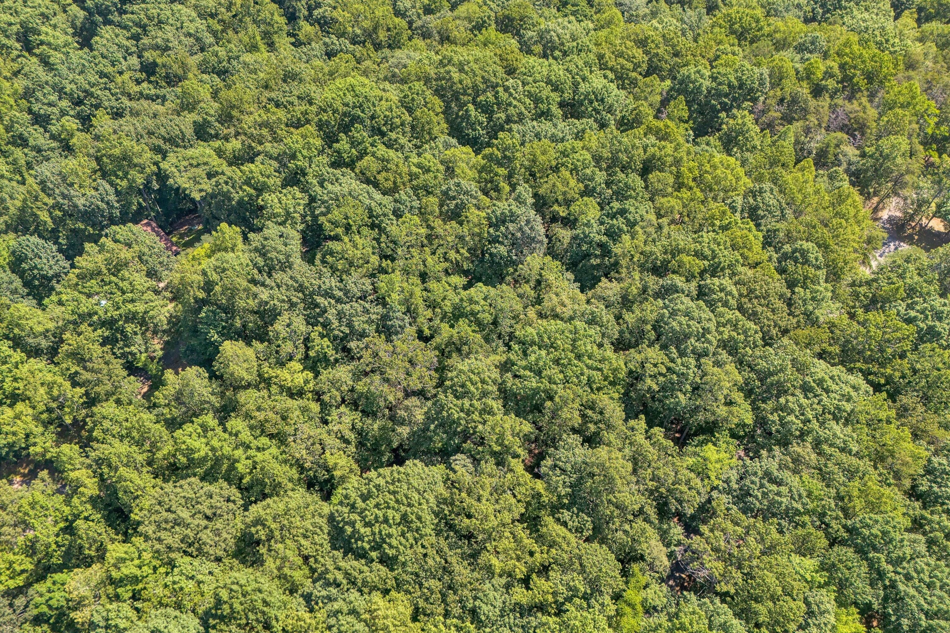 Lot 24 Woodridge TRL - Photo 6