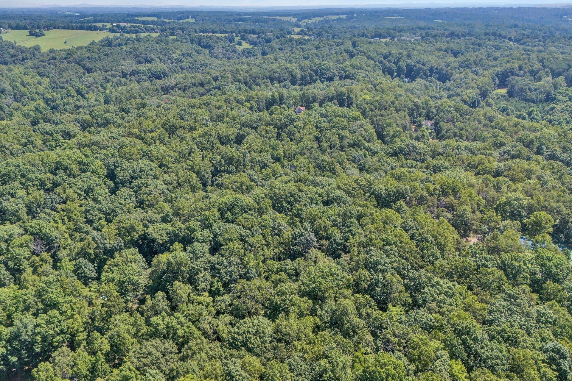 Lot 24 Woodridge TRL - Photo 7