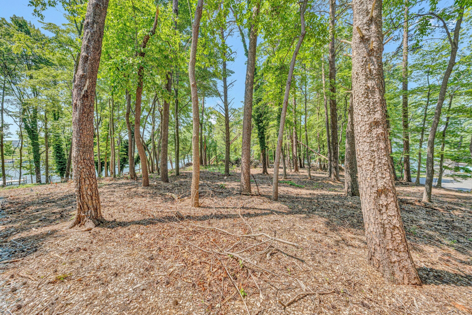 Lot 3 Sigh N Pine RD - Photo 16