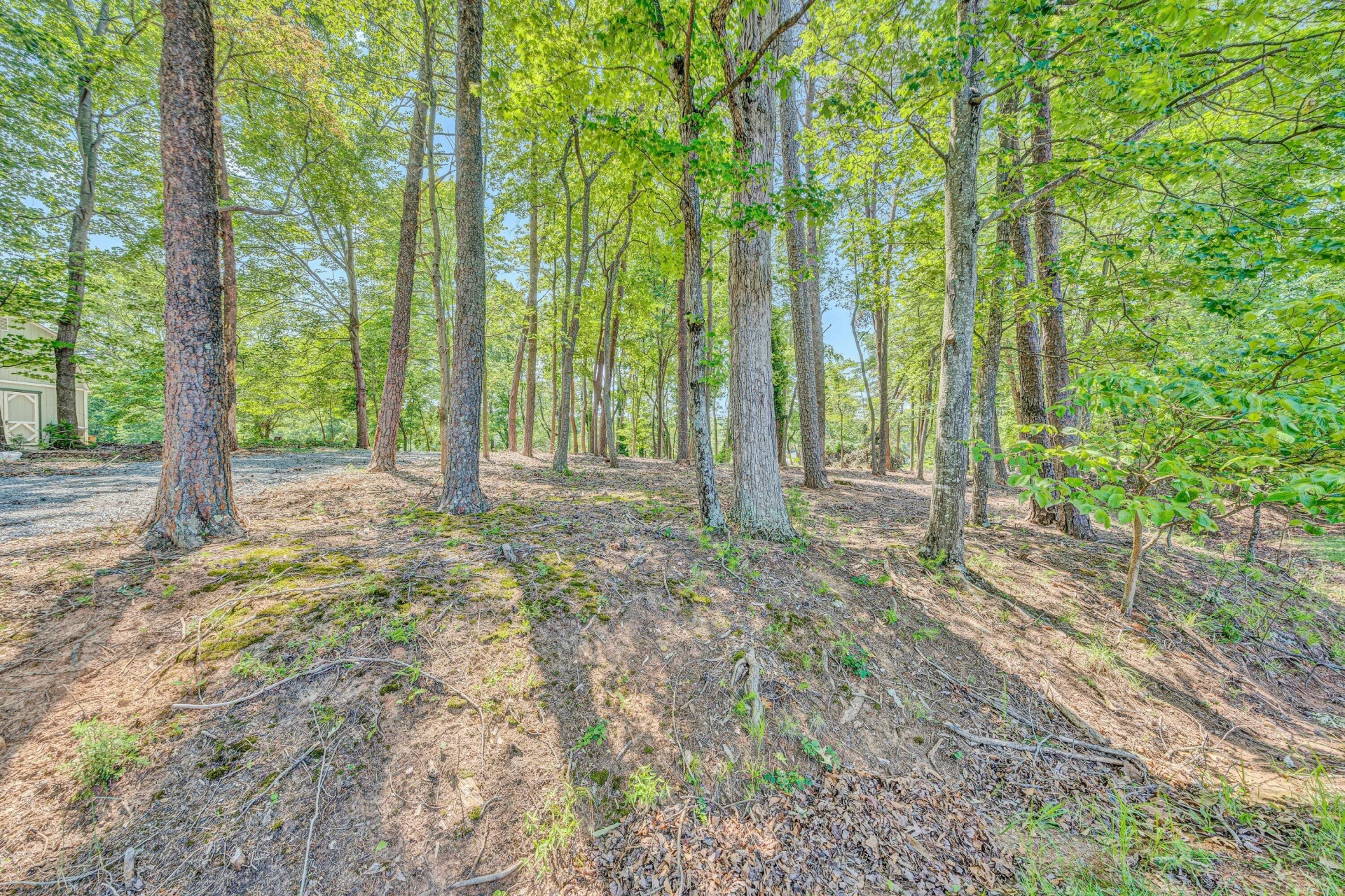 Lot 3 Sigh N Pine RD - Photo 8