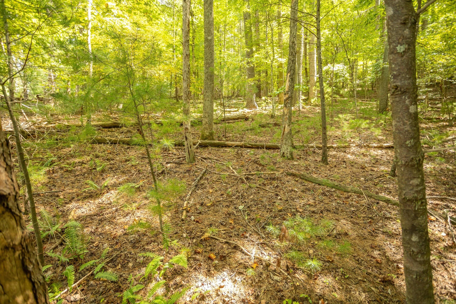 0 Willow Branch RD - Photo 15