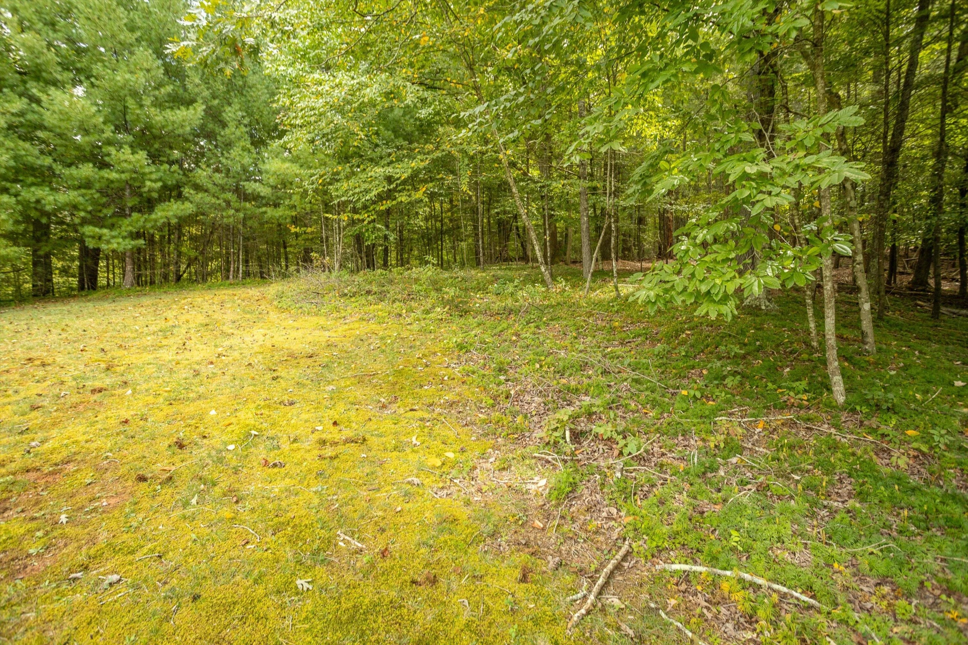 0 Willow Branch RD - Photo 17