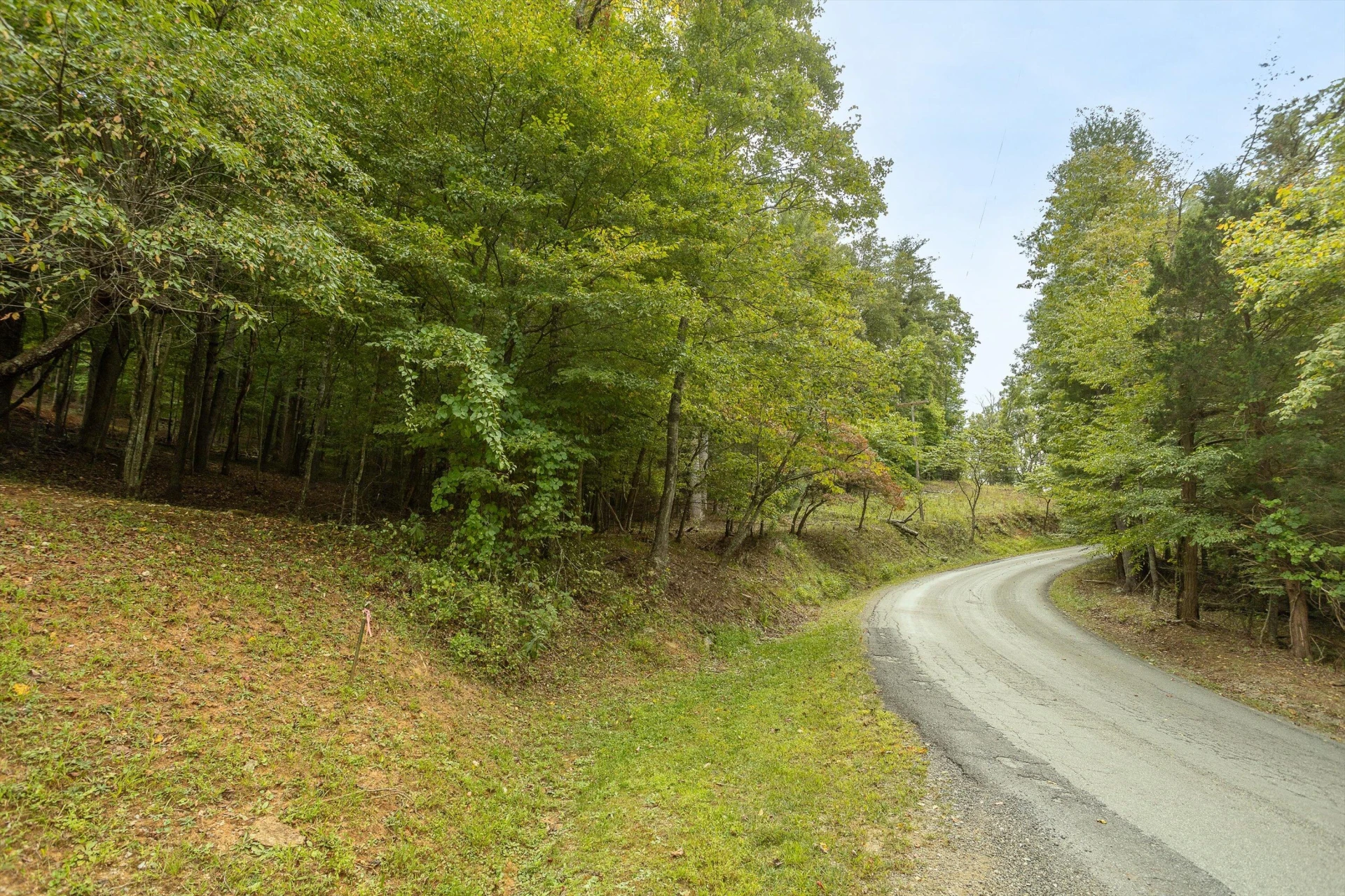 0 Willow Branch RD - Photo 19