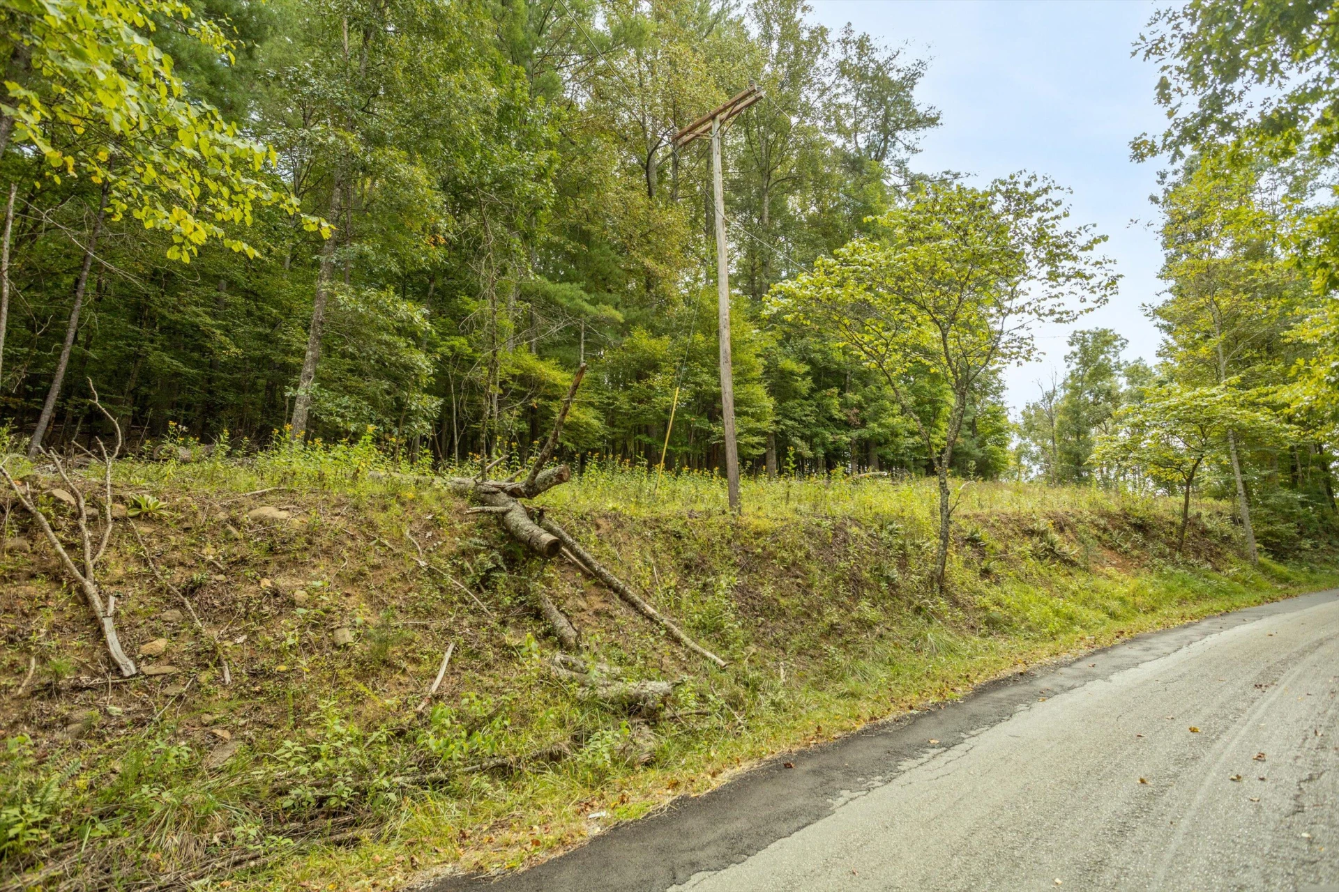0 Willow Branch RD - Photo 20