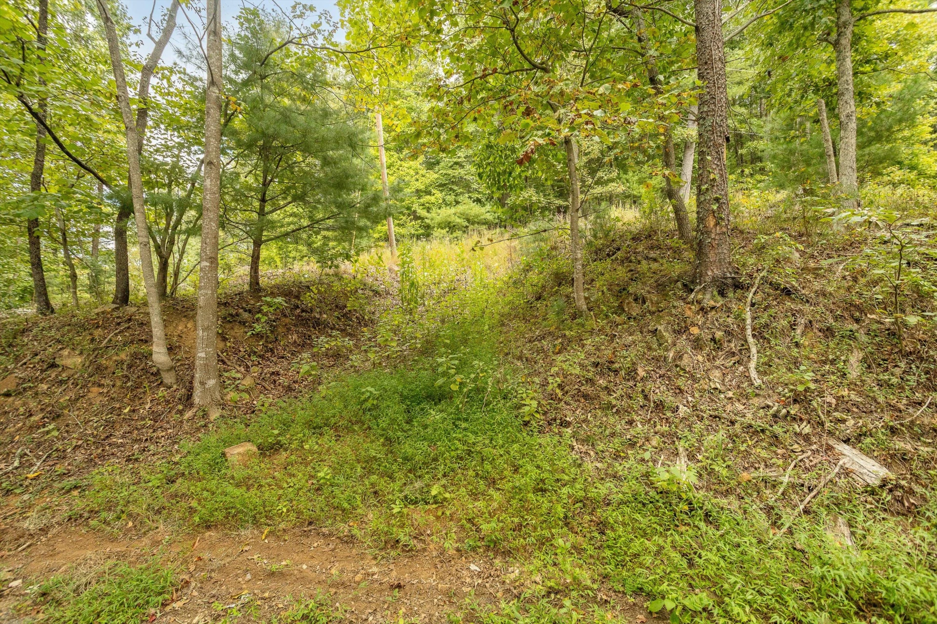 0 Willow Branch RD - Photo 21