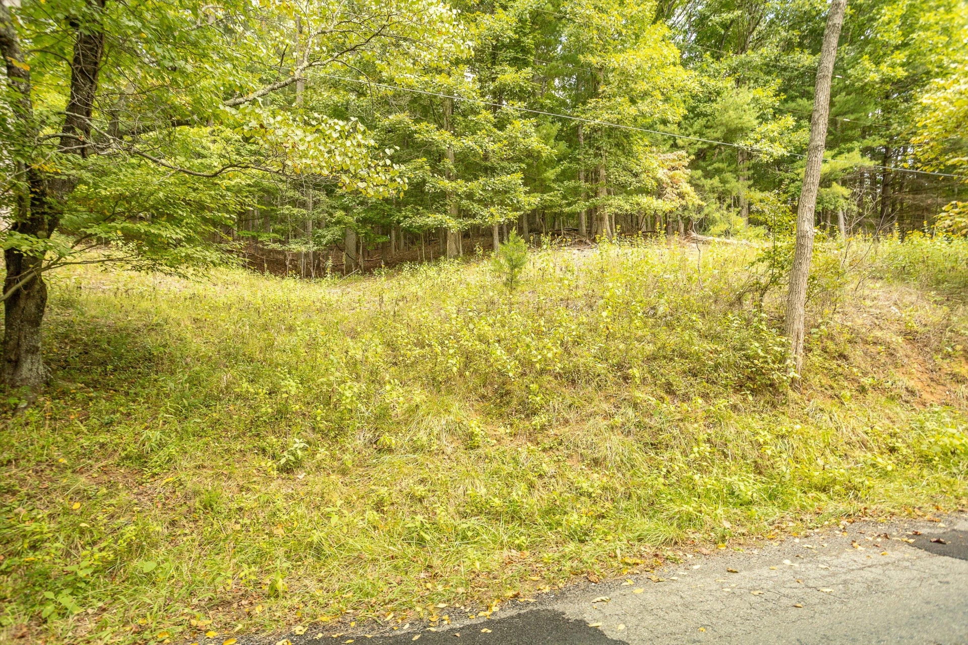 0 Willow Branch RD - Photo 22