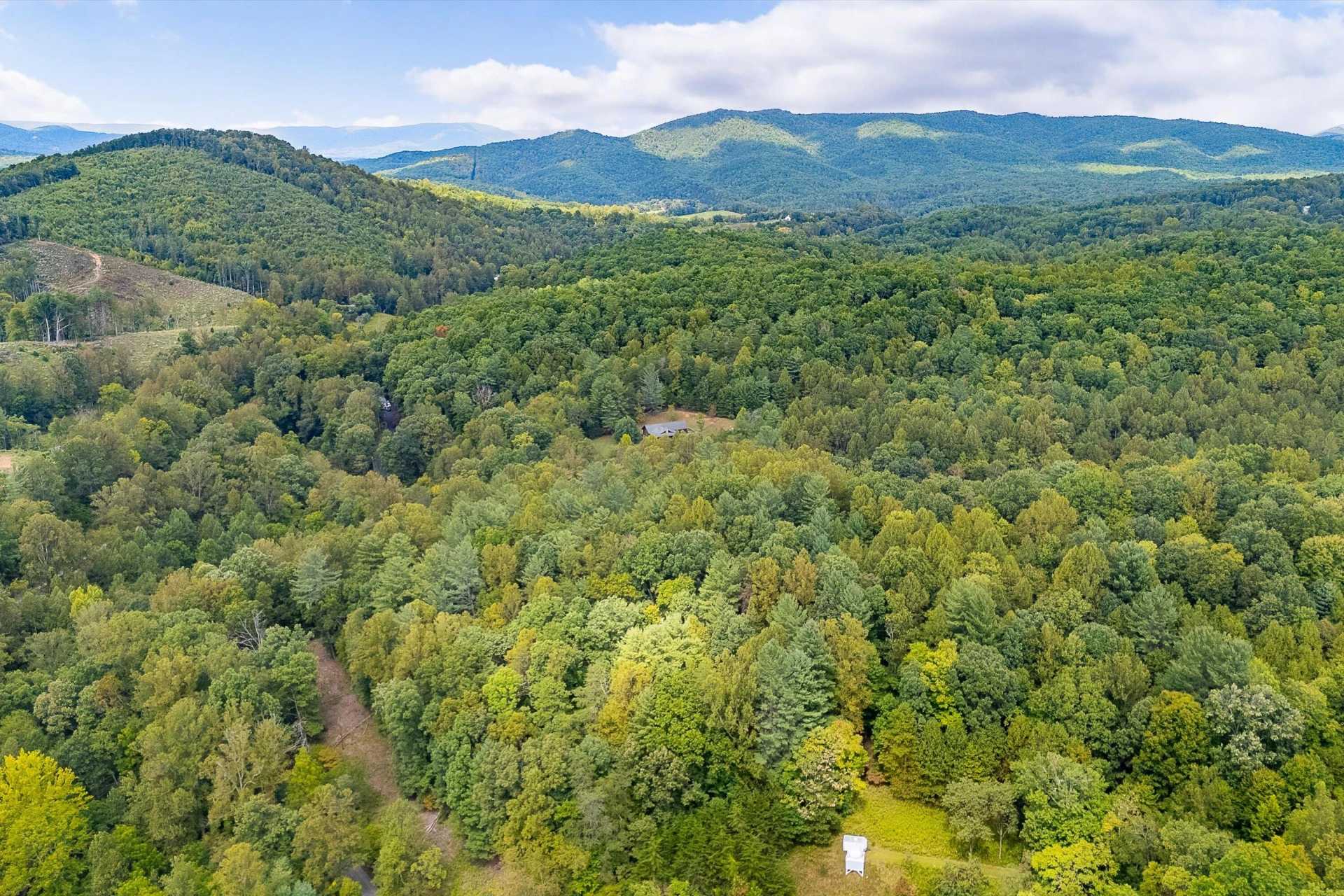 0 Willow Branch RD - Photo 6