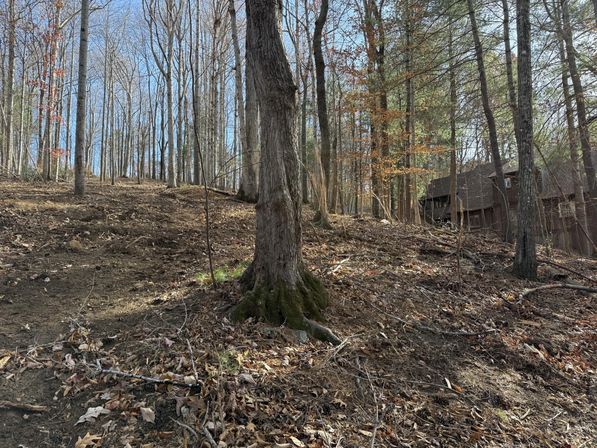LOT 9 TIKI TERRACE - Photo 25