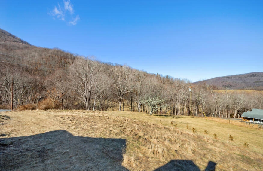 3110 Jamison Mountain RD - Photo 58
