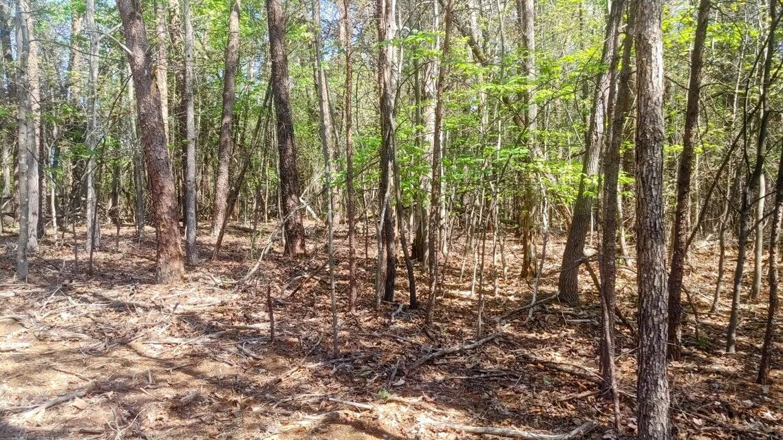 Lot 130 Harbor Landing DR