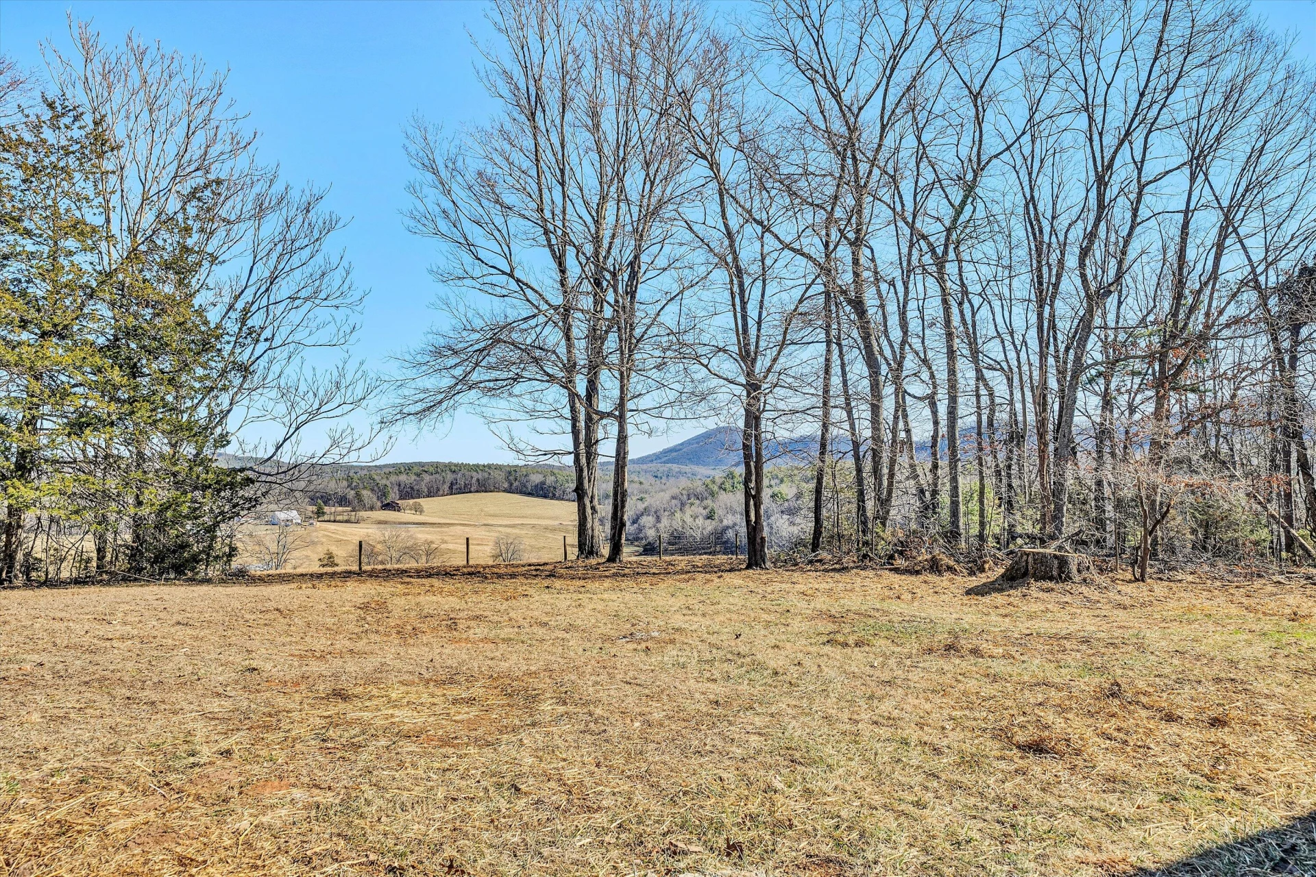 3160 SAWMILL RD - Photo 31
