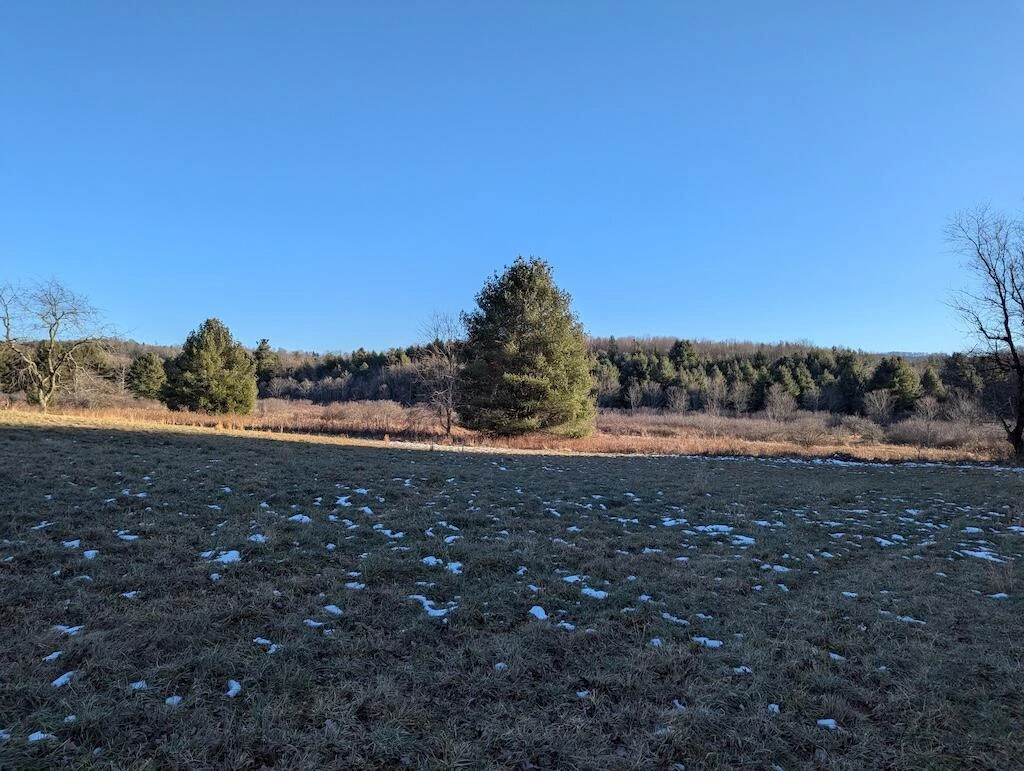 TBD Firehouse RD - Photo 13