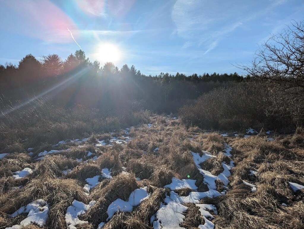 TBD Firehouse RD - Photo 15