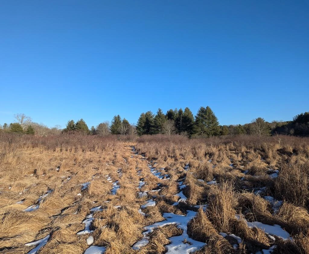 TBD Firehouse RD - Photo 18