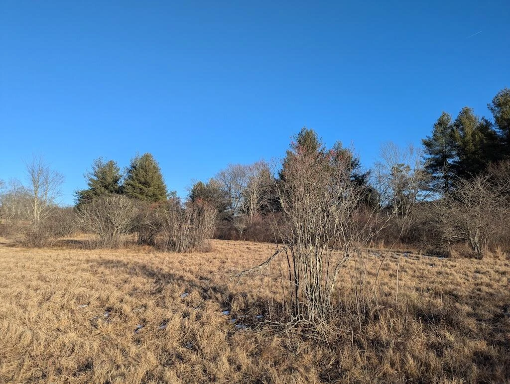 TBD Firehouse RD - Photo 20