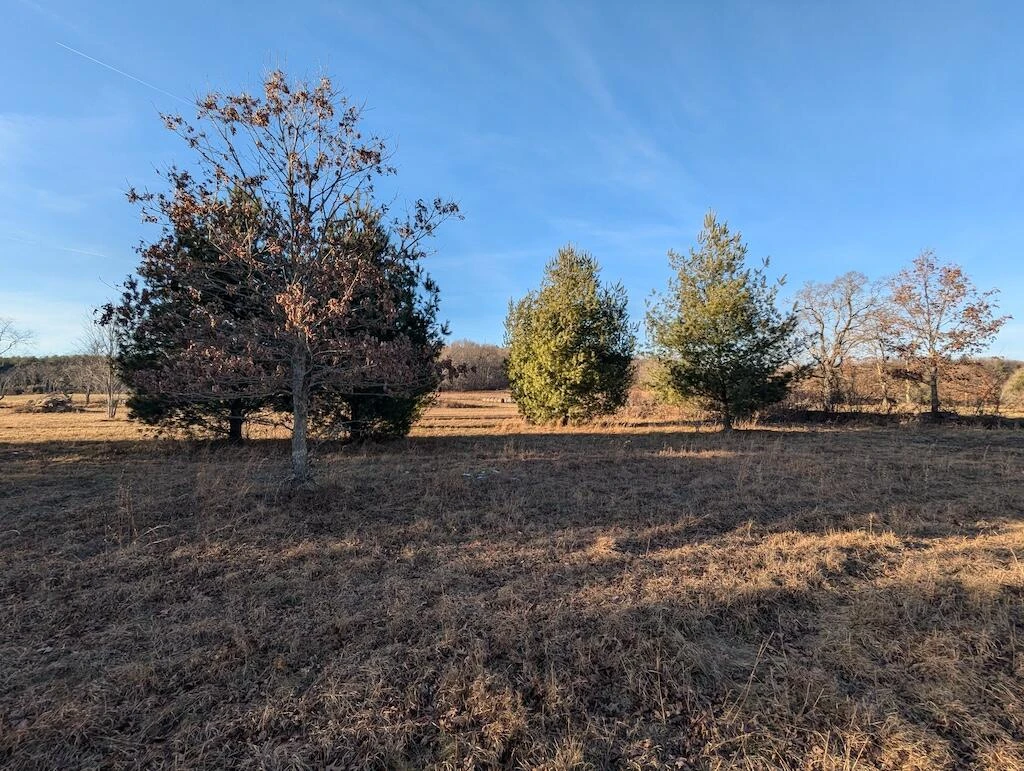 TBD Firehouse RD - Photo 21