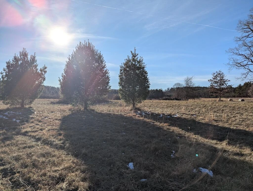 TBD Firehouse RD - Photo 7