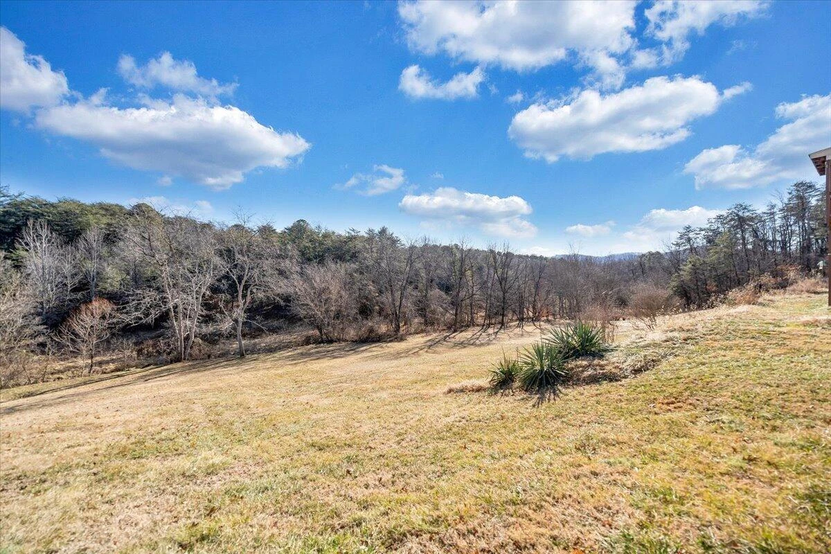 3416 Mount Pleasant BLVD - Photo 46