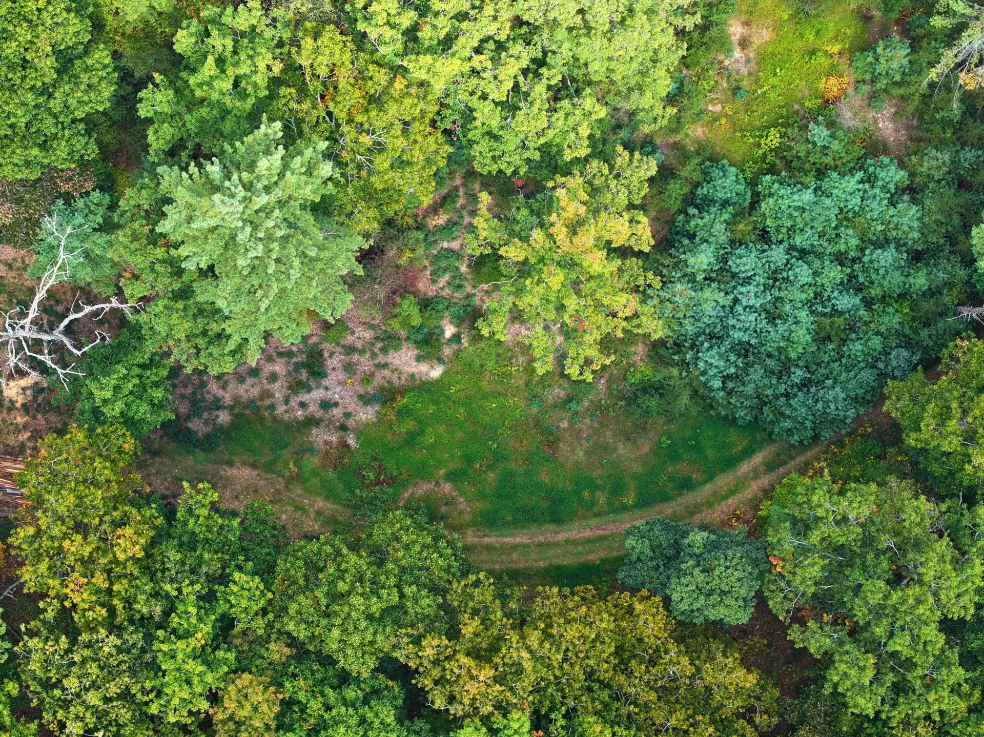 TBD Dry Gulch RD - Photo 10