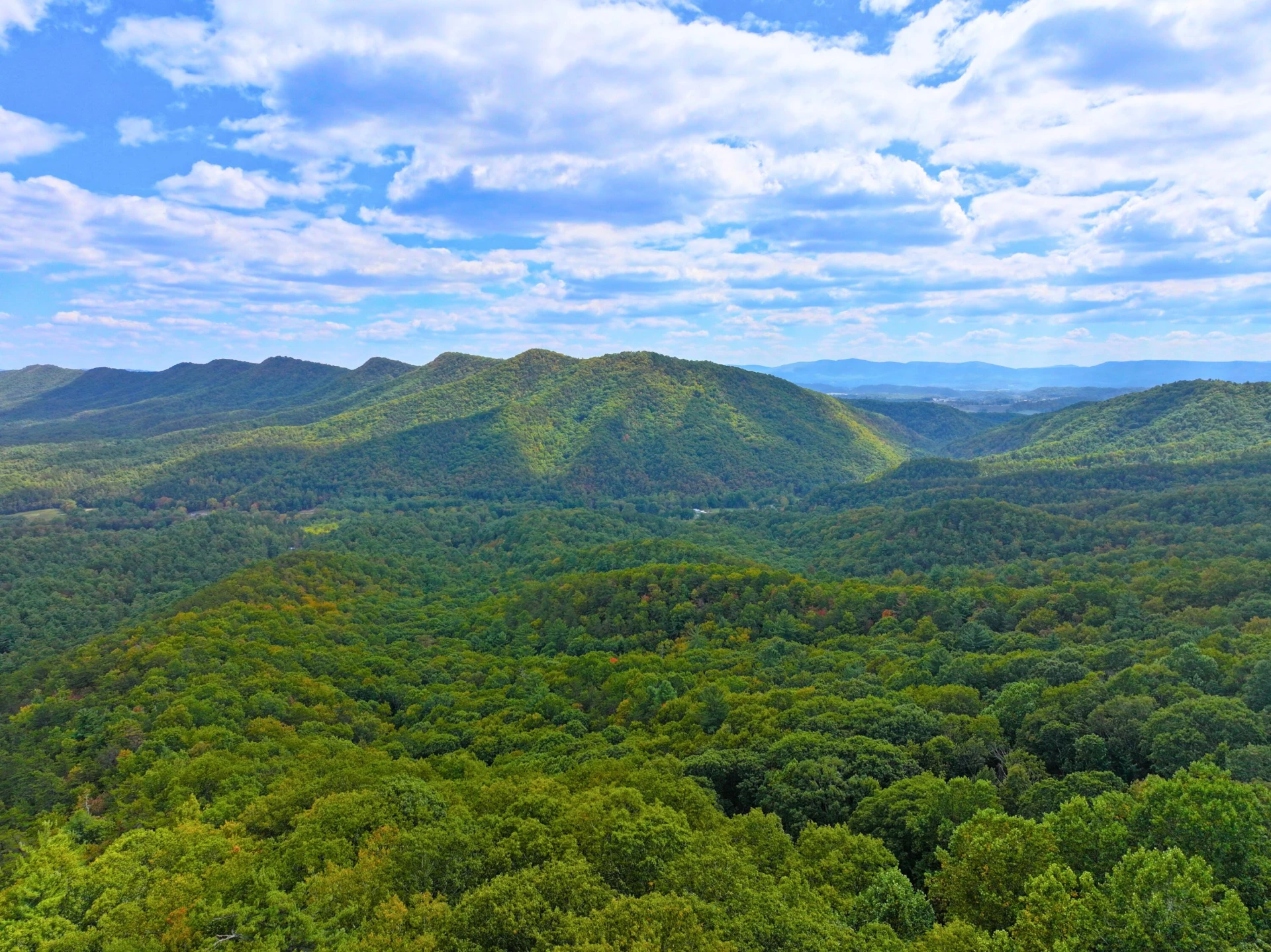 TBD Dry Gulch RD - Photo 11
