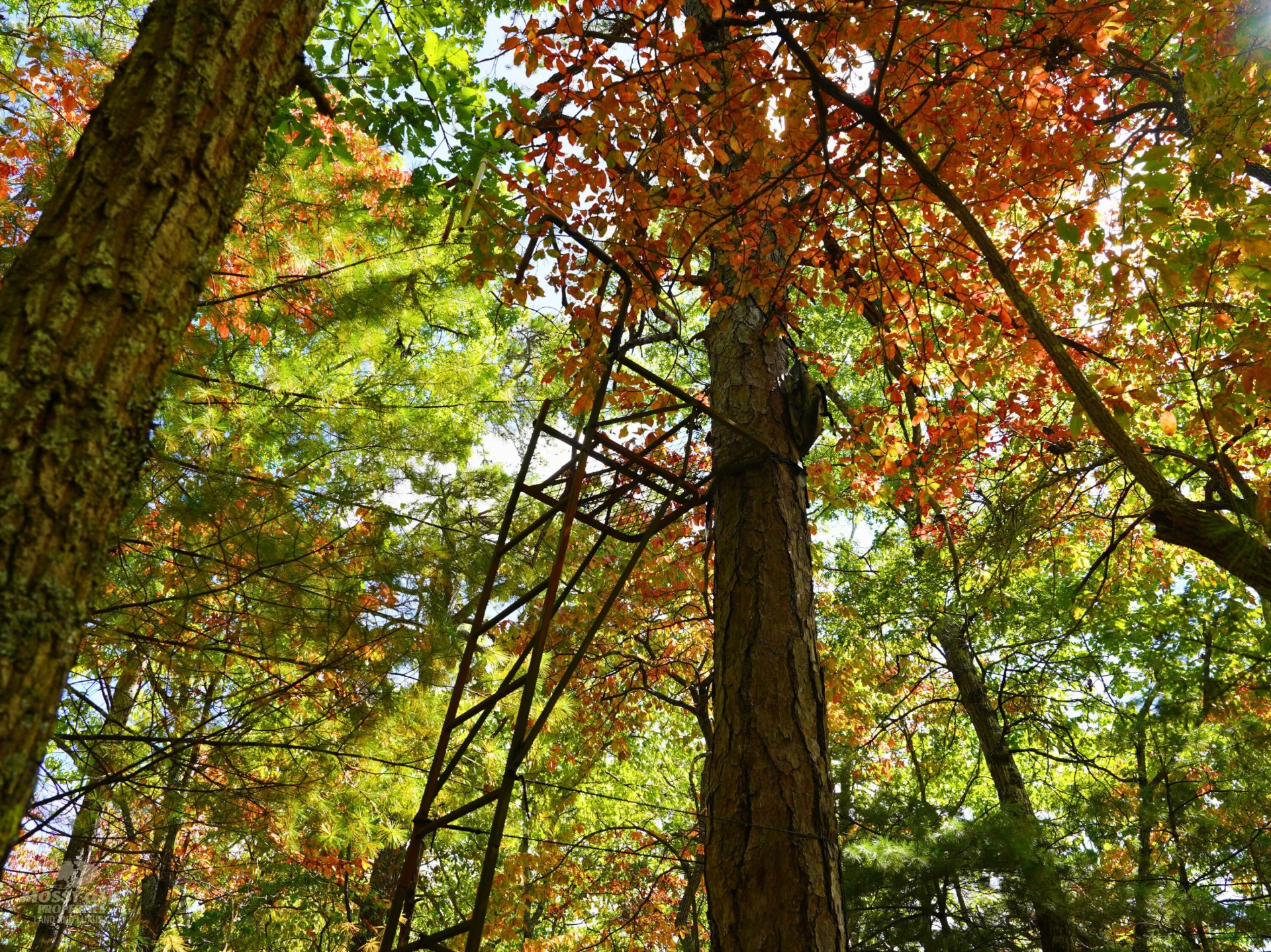 TBD Dry Gulch RD - Photo 12