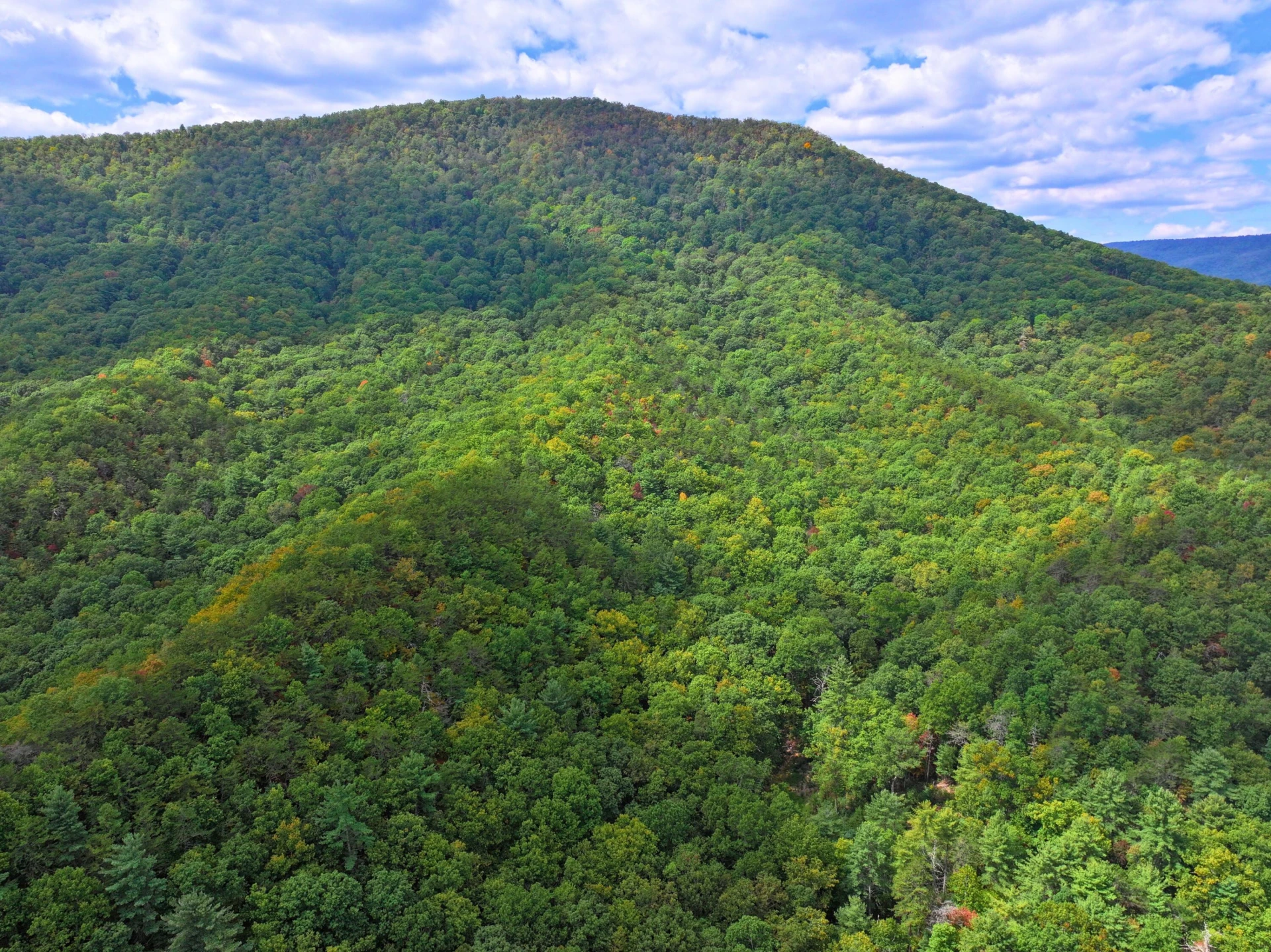 TBD Dry Gulch RD - Photo 13