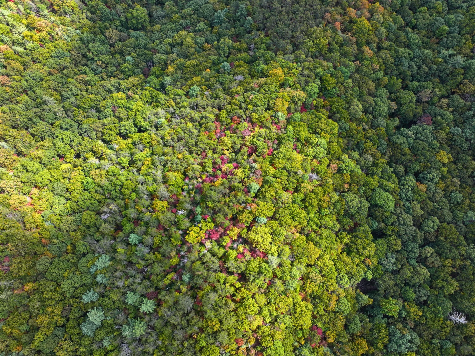 TBD Dry Gulch RD - Photo 16