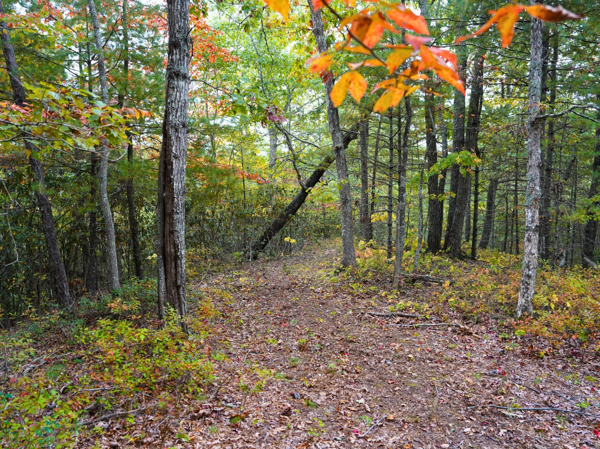 TBD Dry Gulch RD - Photo 17