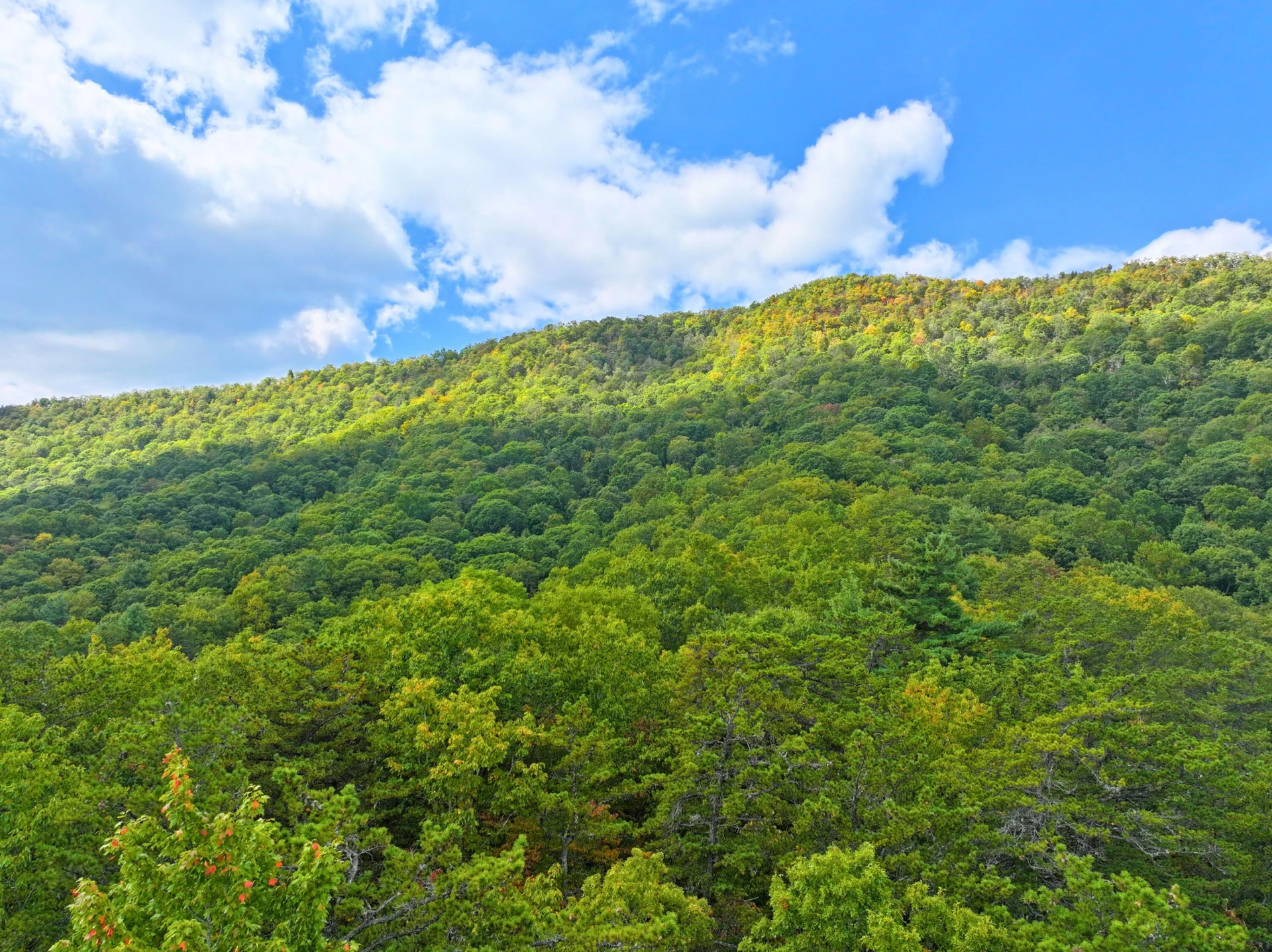 TBD Dry Gulch RD - Photo 19