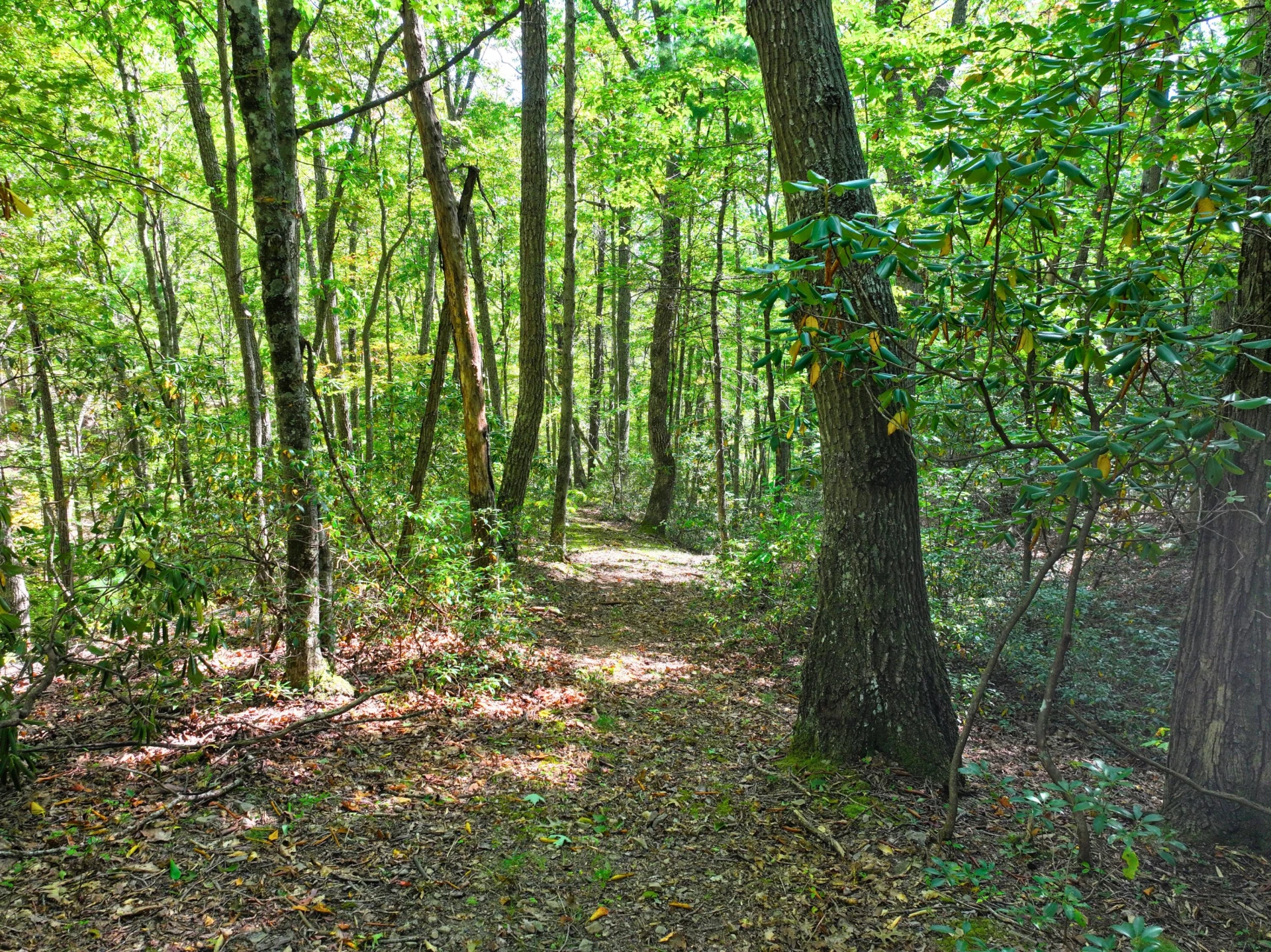 TBD Dry Gulch RD - Photo 20