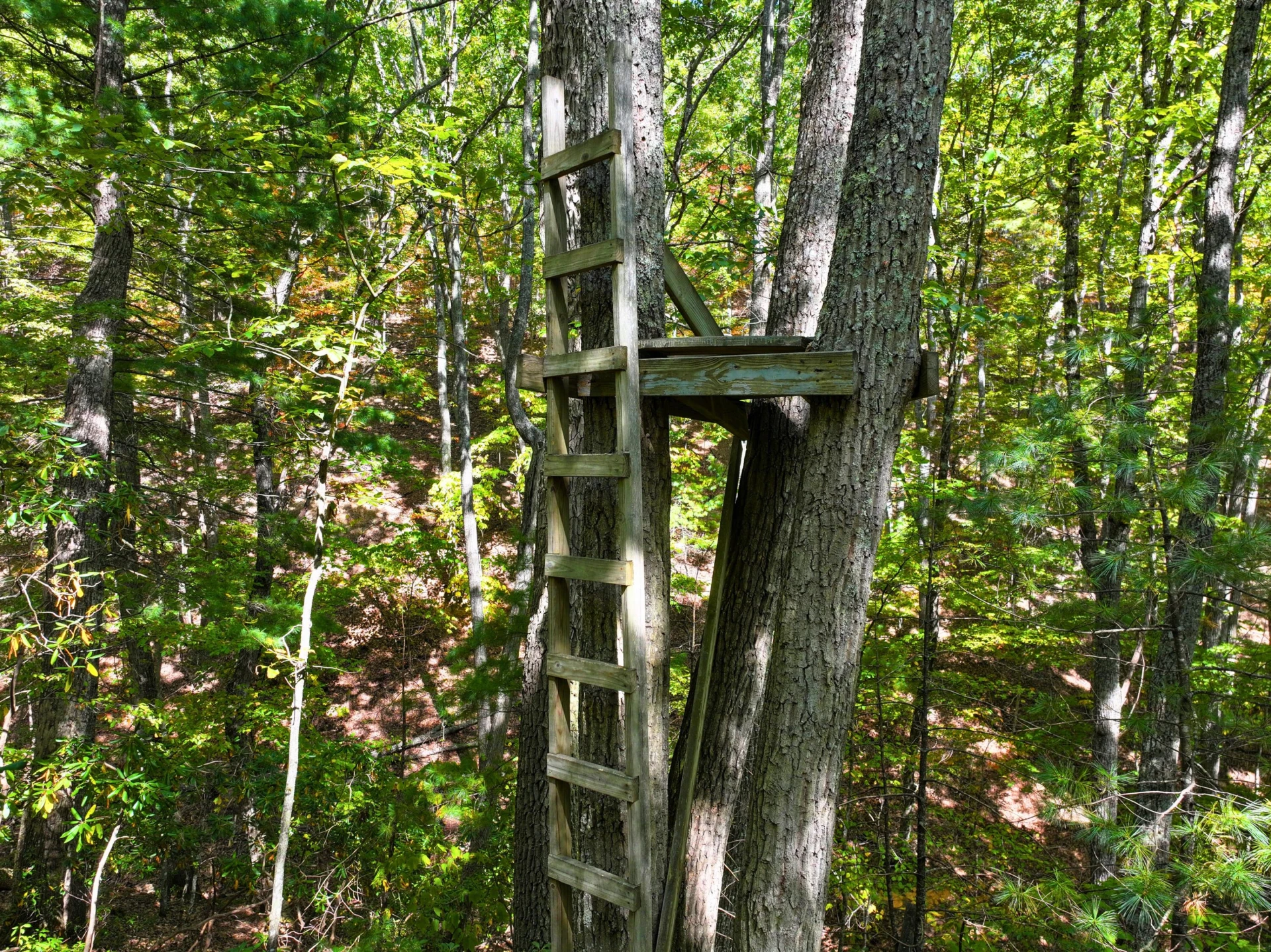 TBD Dry Gulch RD - Photo 5