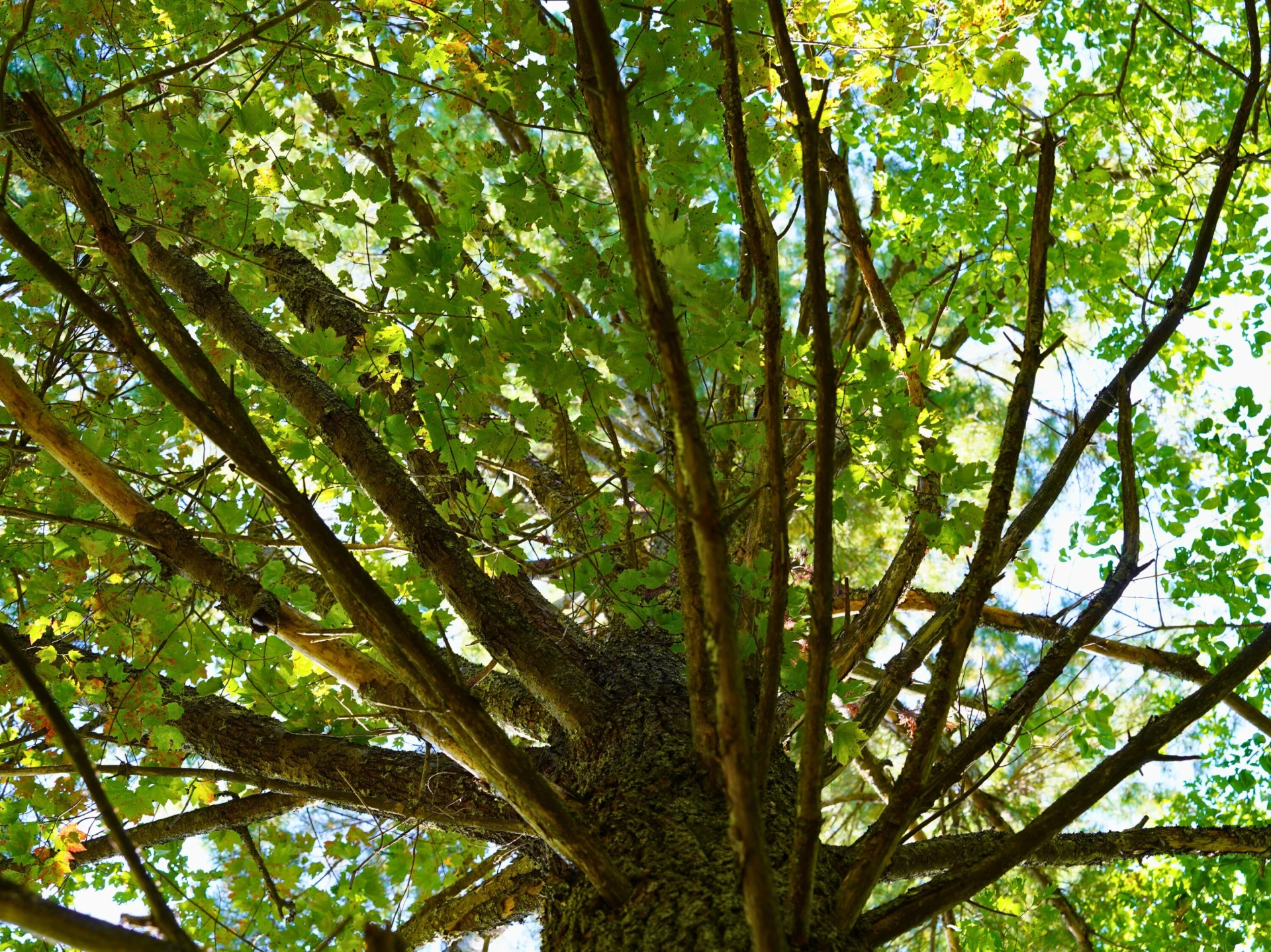 TBD Dry Gulch RD - Photo 7