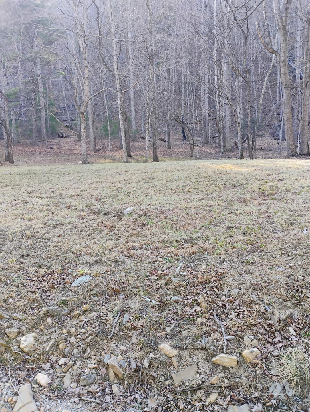 0 Miller Cove RD