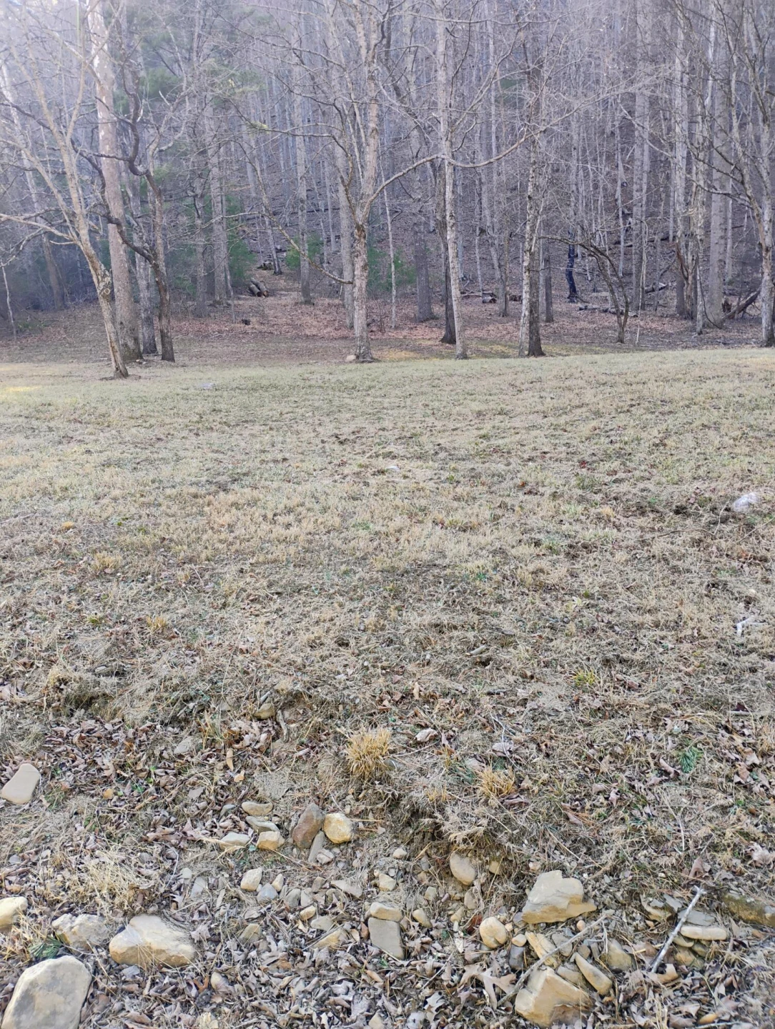 0 Miller Cove RD - Photo 2