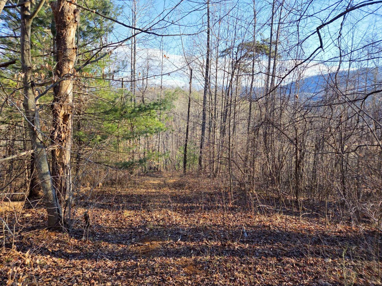 0 Day Break LN - Photo 11