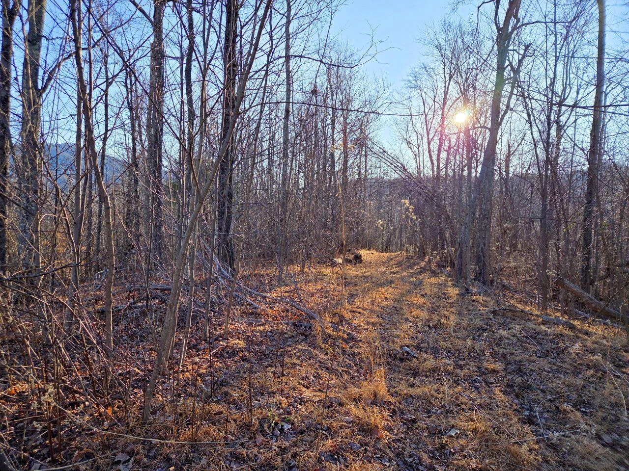 0 Day Break LN - Photo 25