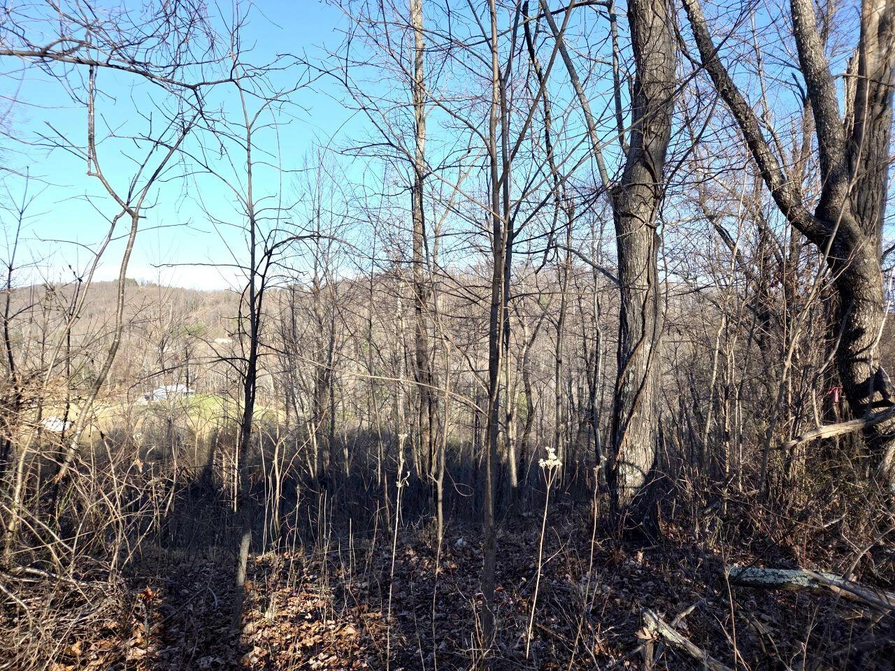 0 Day Break LN - Photo 27