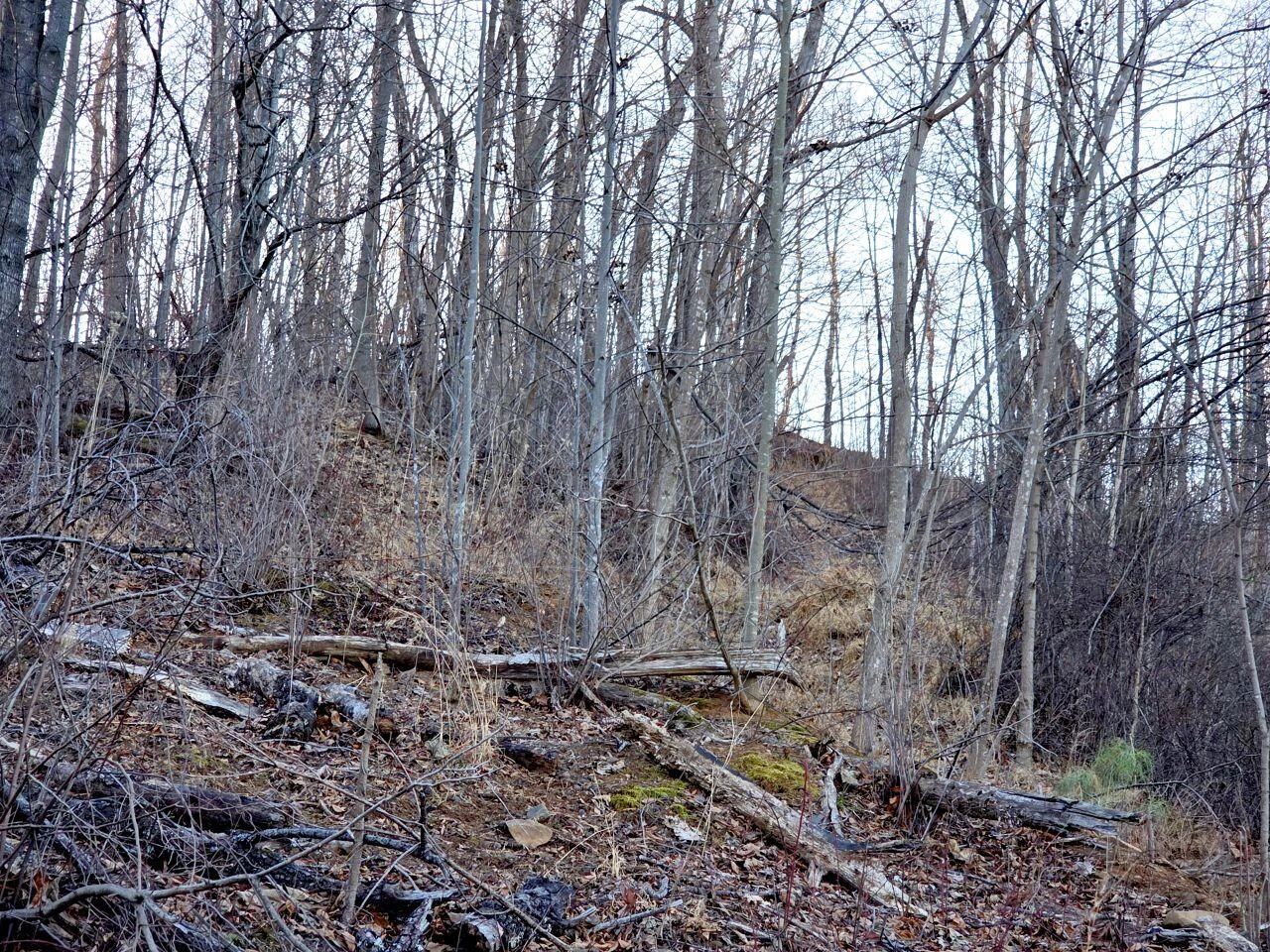0 Day Break LN - Photo 28