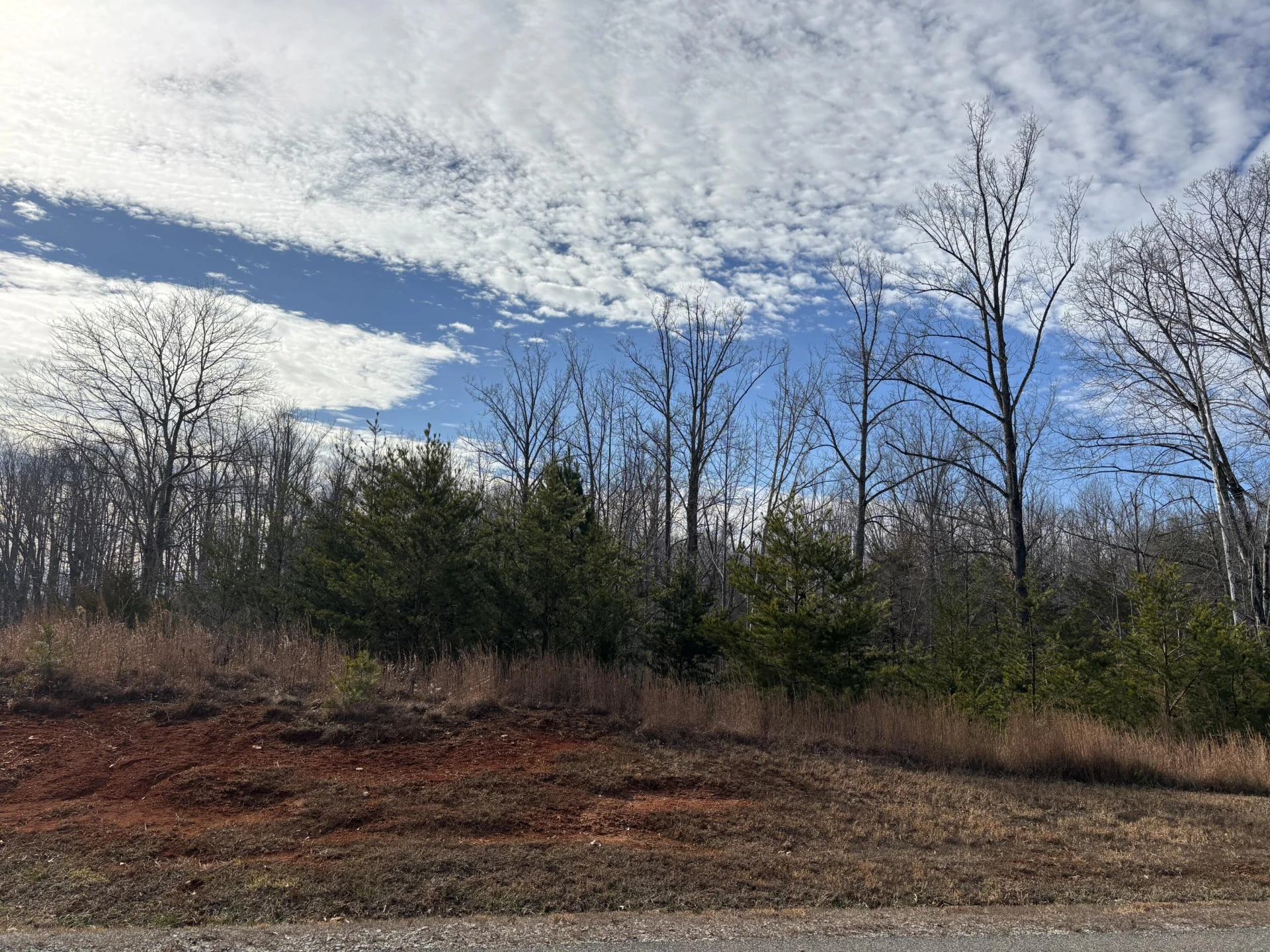 Lot 21 JFK BLVD - Photo 2