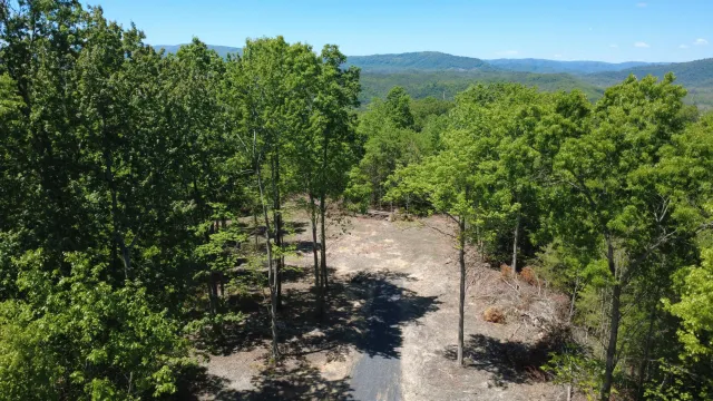 0 Dry Run Overlook, Covington, VA, 24426