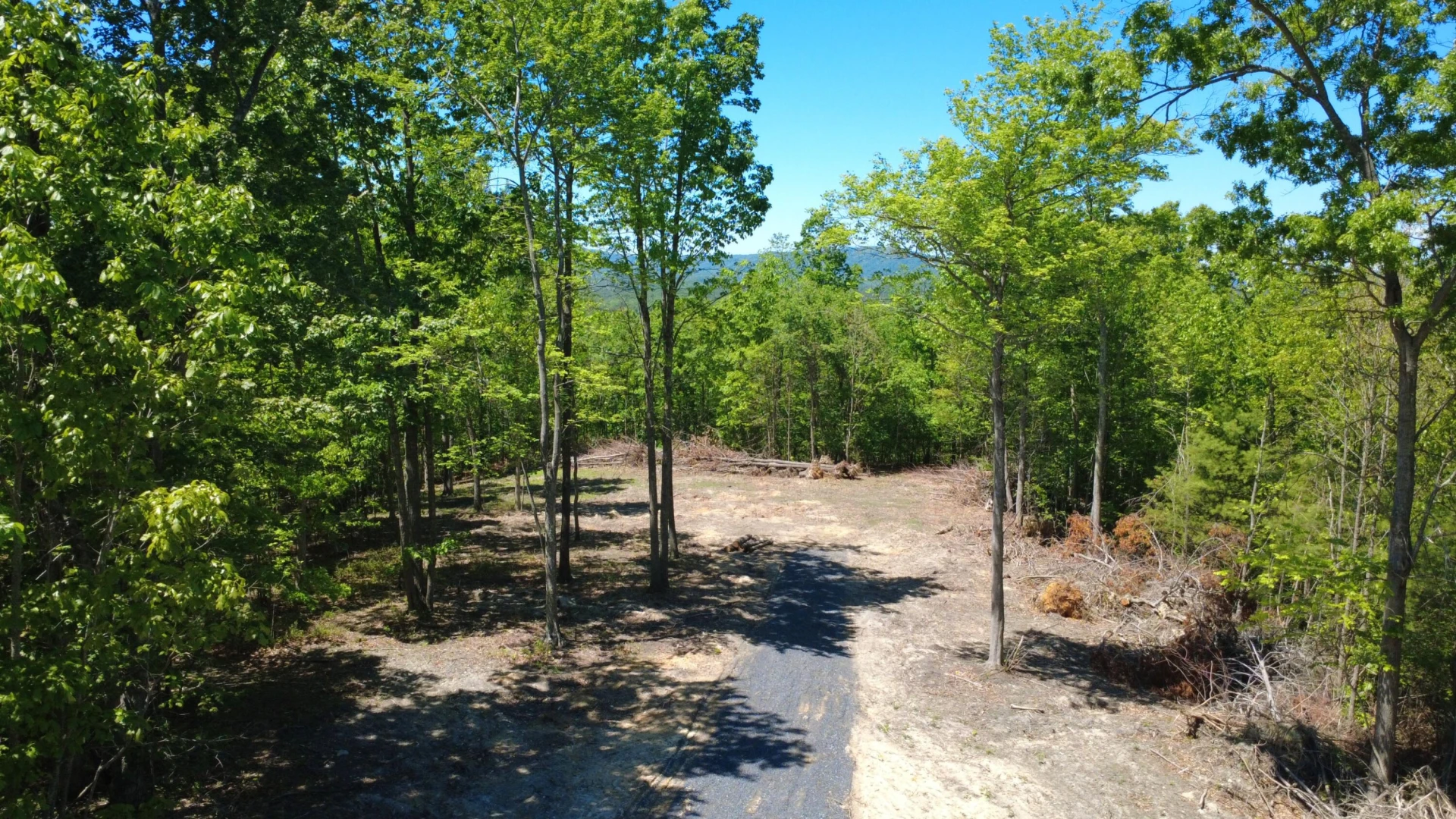 0 Dry Run Overlook - Photo 2