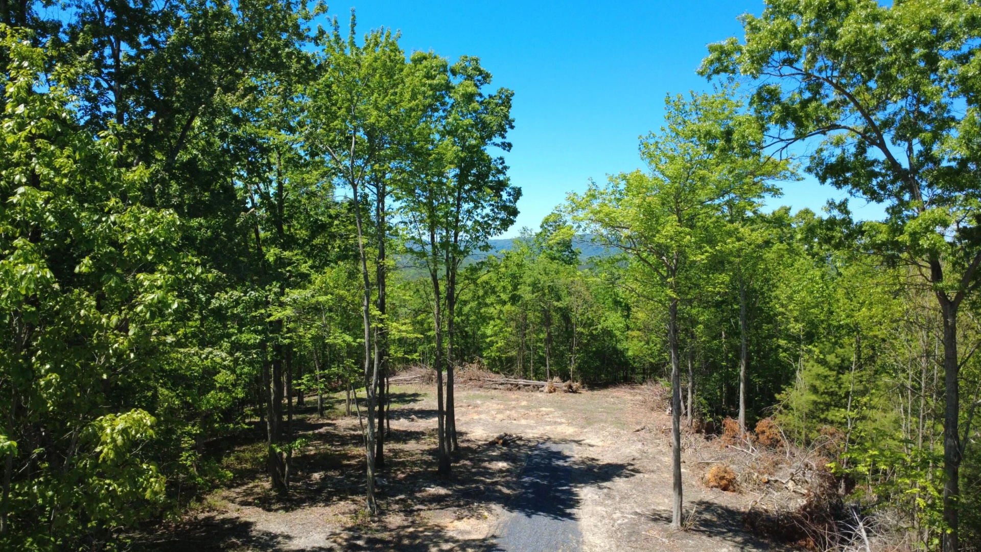 0 Dry Run Overlook - Photo 3