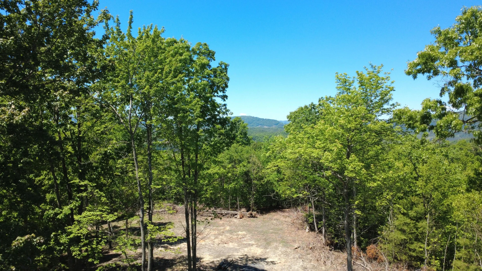0 Dry Run Overlook - Photo 6