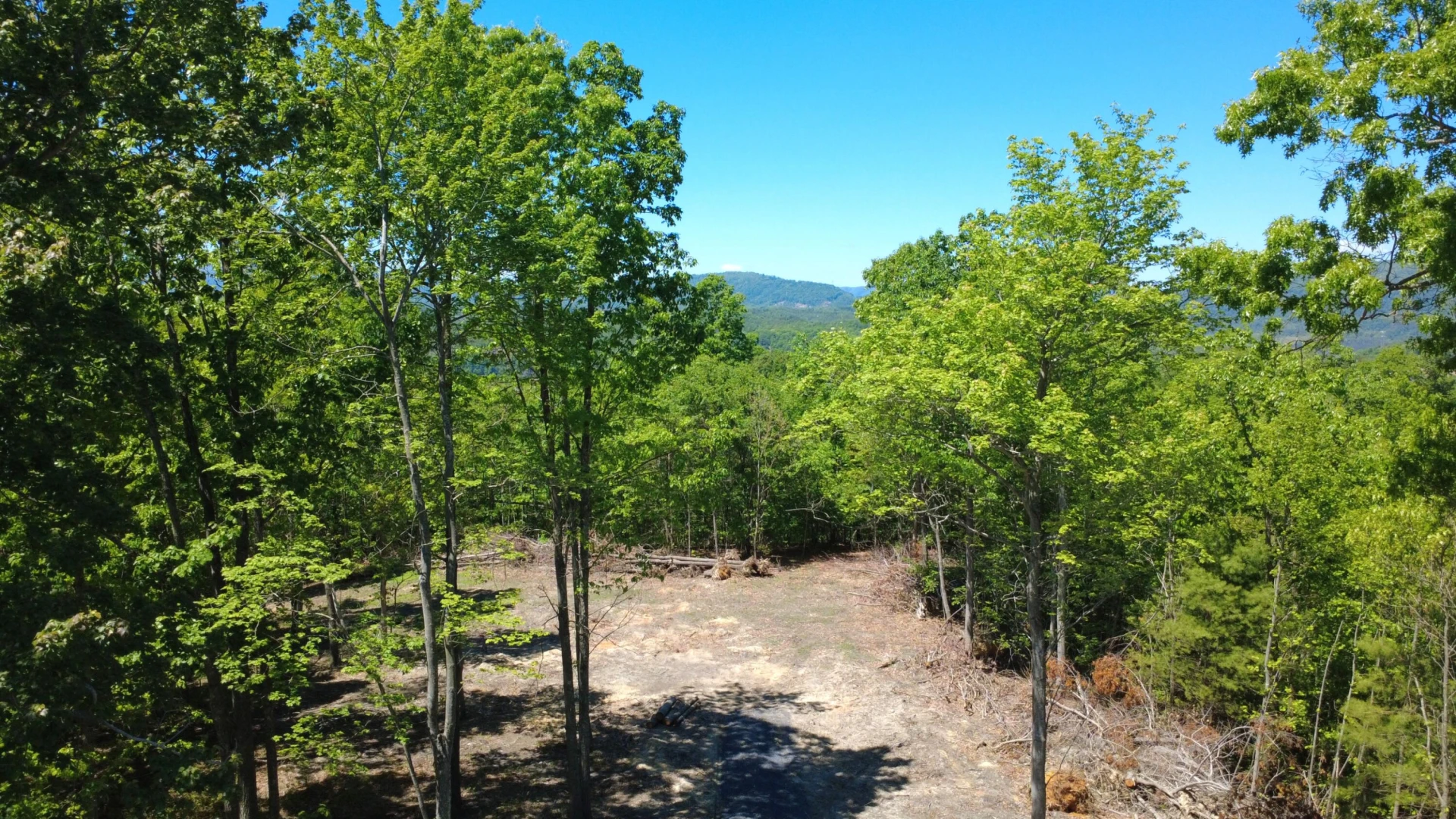 0 Dry Run Overlook - Photo 7
